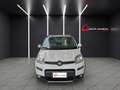 Fiat Panda 1.3 MJT 95 CV 4x4 (931) Weiß - thumbnail 1