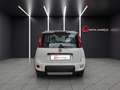 Fiat Panda 1.3 MJT 95 CV 4x4 (931) Weiß - thumbnail 4