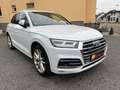 Audi SQ5 3.0 TDI quattro VOLL - S Line Euro6 Weiß - thumbnail 12