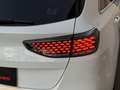 Kia Ceed / cee'd 1.0 T-GDI Eco-Dynamics Style Edition 100 Blanco - thumbnail 21
