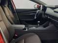 Mazda 3 e- 2.0 M HYBRID 150 SELECTION ACC RFC Navi Rood - thumbnail 18
