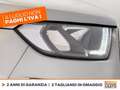 Ford EcoSport 1.0 ecoboost st-line s&s 125cv my20.25 Grigio - thumbnail 14