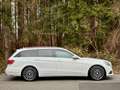 Mercedes-Benz E 220 E 220d 4Matic Avantgarde *NAVI*TEILLEDER*TEMP*AHK* Weiß - thumbnail 5
