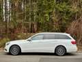 Mercedes-Benz E 220 E 220d 4Matic Avantgarde *NAVI*TEILLEDER*TEMP*AHK* Weiß - thumbnail 2