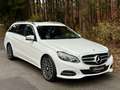 Mercedes-Benz E 220 E 220d 4Matic Avantgarde *NAVI*TEILLEDER*TEMP*AHK* Weiß - thumbnail 4