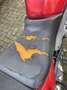 Honda CBF 600 Rood - thumbnail 2