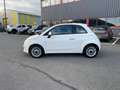 Fiat 500 1.2 Pop / PANO DAK / NWE KOPPELING / Weiß - thumbnail 2