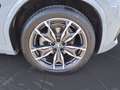 BMW X3 xDrive20i AT M Sportpaket Klimaaut. HIFI RFT Grijs - thumbnail 11