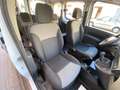 Renault Kangoo Combi 1.5dCi Blue Profesional 70kW Blanco - thumbnail 12