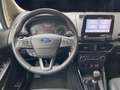 Ford EcoSport 1.0 ecoboost Titanium s&s 125cv GPL - PROMO Blanc - thumbnail 21