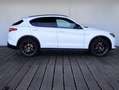 Alfa Romeo Stelvio 2.0 T AWD B-Tech | ACC | PDC voor achter | 20 INCH Wit - thumbnail 14