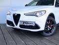 Alfa Romeo Stelvio 2.0 T AWD B-Tech | ACC | PDC voor achter | 20 INCH Wit - thumbnail 13
