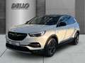 Opel Grandland X 120 Jahre-Edition 1.2T Navi LED Kurvenlicht Apple Wit - thumbnail 1