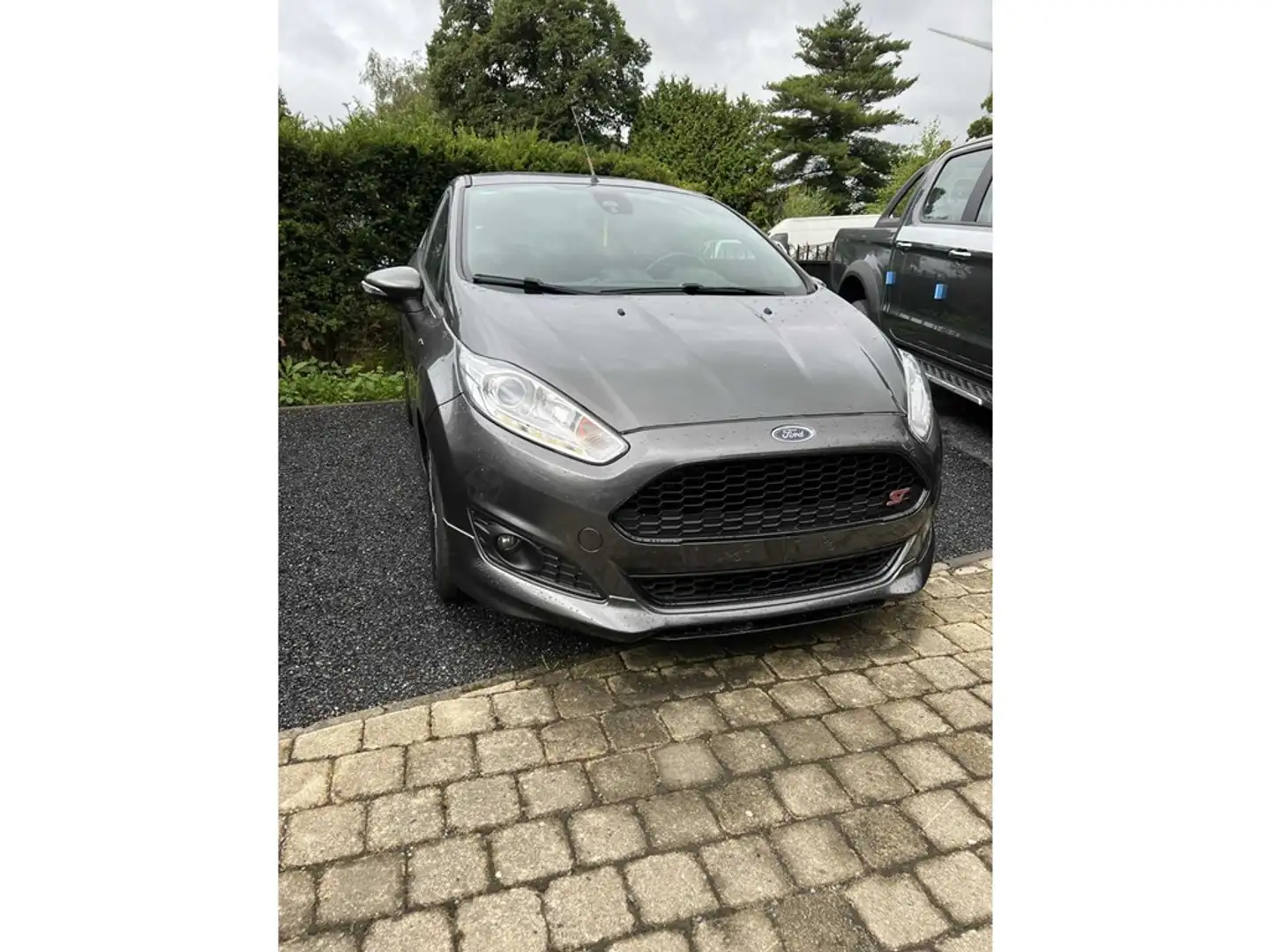 Ford Fiesta Gris - 2