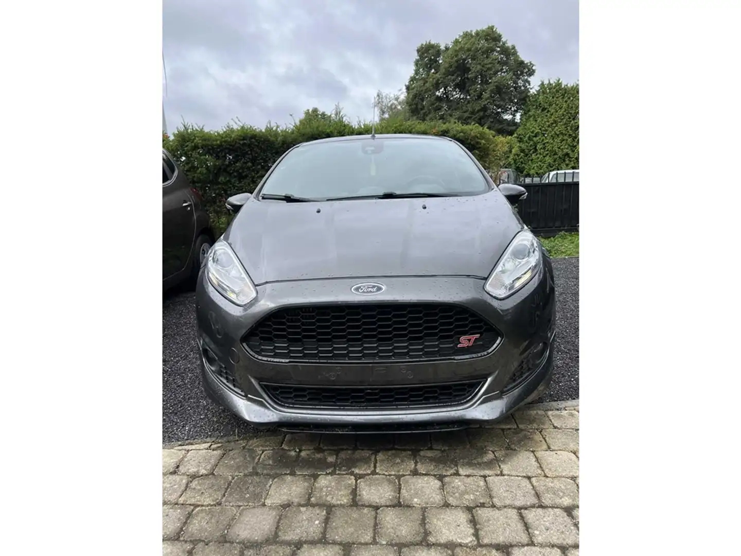 Ford Fiesta Gris - 1
