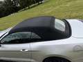 Ford Mustang 3.7 V6 305hp Cabriolet Plateado - thumbnail 20