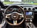 Ford Mustang 3.7 V6 305hp Cabriolet Plateado - thumbnail 12