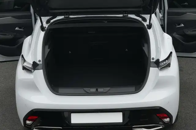 Peugeot 308 view 9