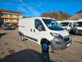 Peugeot Boxer Kasten 330 L1H1 Komfort BlueHDi 110 Blanc - thumbnail 16