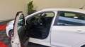 Peugeot 208 bluehdi 100ch ss active business Blanc - thumbnail 13