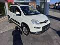 Fiat Panda 4x4 Rock TwinAir Turbo Weiß - thumbnail 10