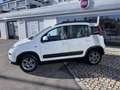 Fiat Panda 4x4 Rock TwinAir Turbo Blanc - thumbnail 4