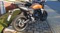Suzuki GSX-8T versch. Farben - thumbnail 10