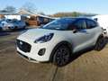 Ford Puma Titanium Winter-P/Navi/Kamera *neues Modell Grey - thumbnail 3