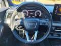 Audi Q5 SPB 40 TDI quattro S tronic S line Identity Black Blu/Azzurro - thumbnail 11
