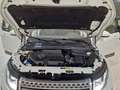 Land Rover Range Rover Evoque 2.0TD4 SE Dynamic 4WD Aut. 150 Blanco - thumbnail 41