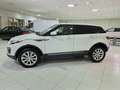Land Rover Range Rover Evoque 2.0TD4 SE Dynamic 4WD Aut. 150 Blanco - thumbnail 2