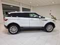 Land Rover Range Rover Evoque 2.0TD4 SE Dynamic 4WD Aut. 150 Blanco - thumbnail 6