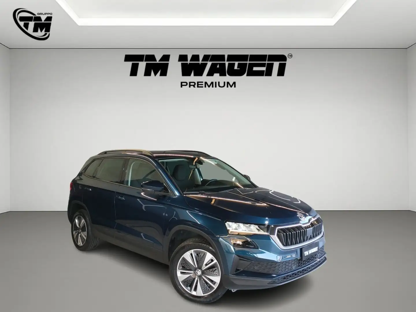 Skoda Karoq 2.0 tdi evo Ambition 115cv Bleu - 2
