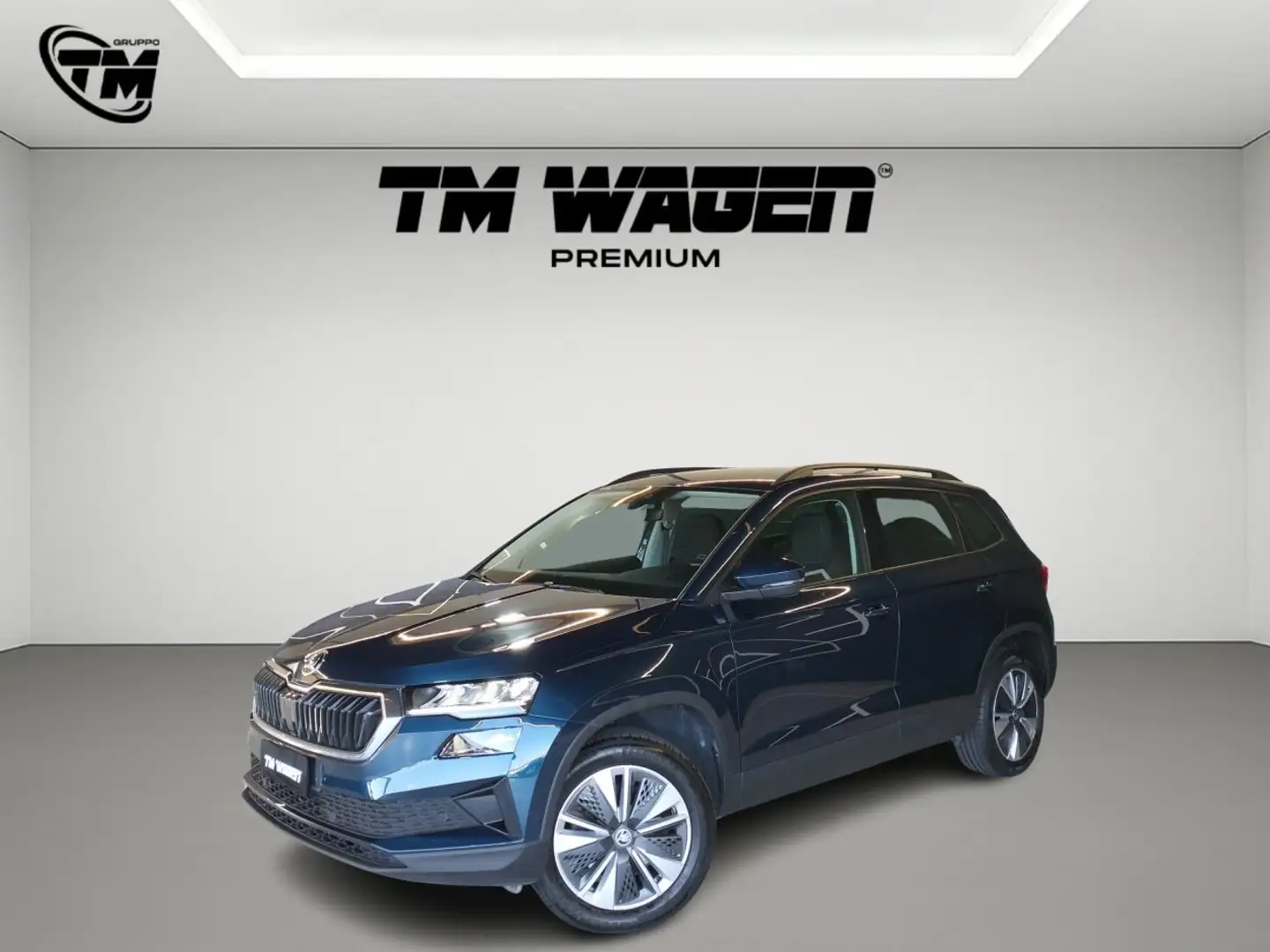 Skoda Karoq 2.0 tdi evo Ambition 115cv Bleu - 1