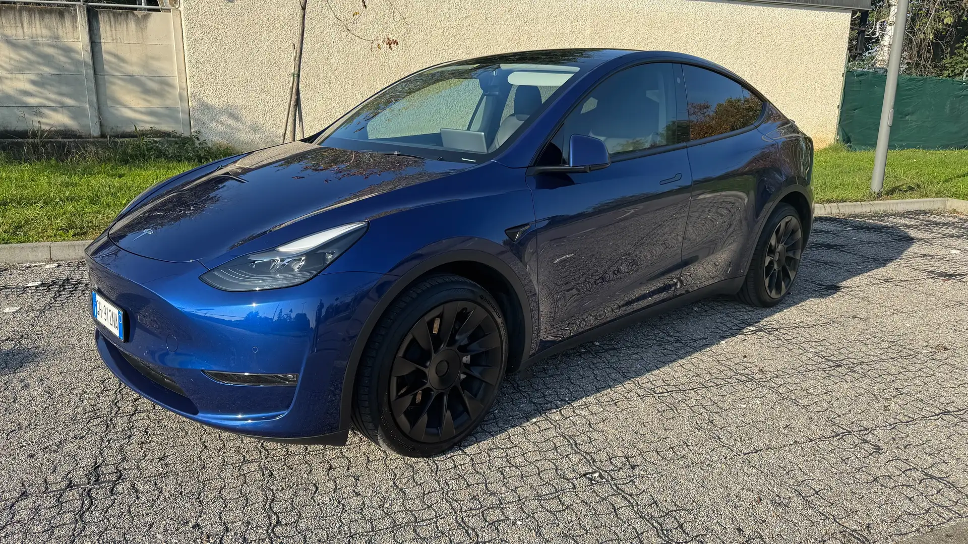 Tesla Model Y Model Y 2021 Long Range Dual Motor awd Синий - 1
