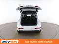 Audi Q3 2.0 TDI quattro Sport Weiß - thumbnail 16