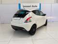 Lancia Ypsilon Ypsilon 1.2 69 CV 5 porte Elefantino Bianco - thumbnail 4