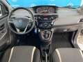 Lancia Ypsilon Ypsilon 1.2 69 CV 5 porte Elefantino Bianco - thumbnail 8