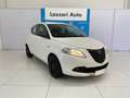 Lancia Ypsilon Ypsilon 1.2 69 CV 5 porte Elefantino Bianco - thumbnail 3