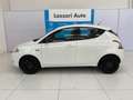 Lancia Ypsilon Ypsilon 1.2 69 CV 5 porte Elefantino Bianco - thumbnail 2