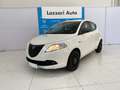 Lancia Ypsilon Ypsilon 1.2 69 CV 5 porte Elefantino Bianco - thumbnail 1