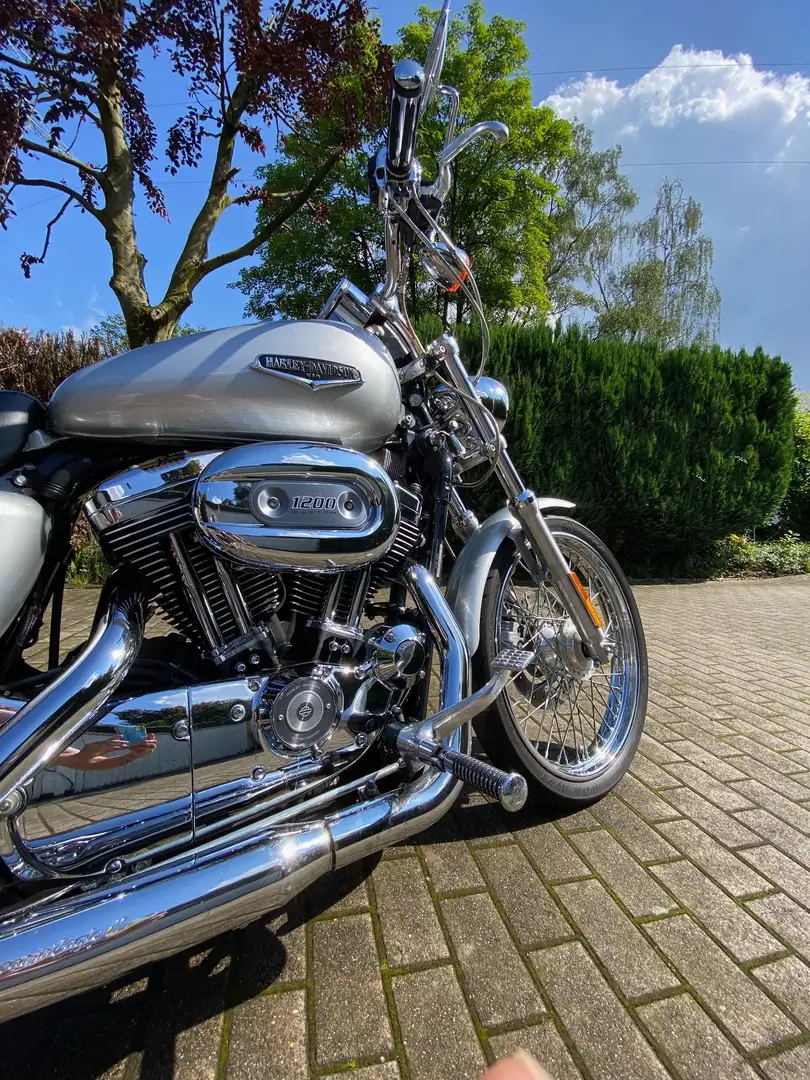 Harley-Davidson 1200 Custom Sportster XL 1200 Silber - 2