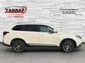 Mitsubishi Outlander Plus 4WD 2.Hand.7Sitzer.Euro6.174TKm. Blanc - thumbnail 6