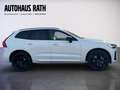 Volvo XC60 Black Edition Ultra, T6 AWD Plug-in Hybrid, Elektrisch/Benzi Weiß - thumbnail 3