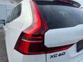 Volvo XC60 Black Edition Ultra, T6 AWD Plug-in Hybrid, Elektrisch/Benzi Weiß - thumbnail 11