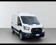 Ford Transit 350 2.0TDCi EcoBlue MHEV 170CV PM-TM Furgone Trend Weiß - thumbnail 1