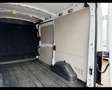 Ford Transit 350 2.0TDCi EcoBlue MHEV 170CV PM-TM Furgone Trend Weiß - thumbnail 16