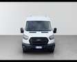 Ford Transit 350 2.0TDCi EcoBlue MHEV 170CV PM-TM Furgone Trend Weiß - thumbnail 6
