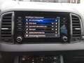 Skoda Karoq Karoq 1.5 TSI ACT DSG Ambition Grau - thumbnail 25