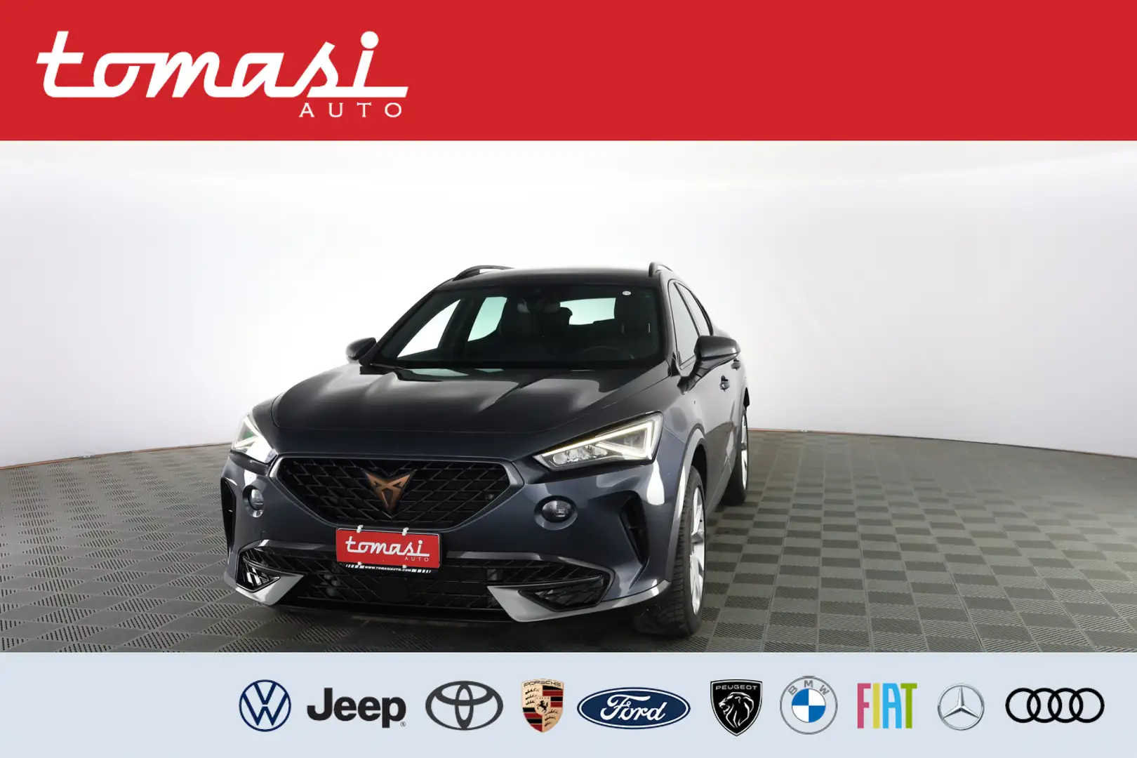 CUPRA Formentor 2.0 TDI 4Drive DSG FARI LED Grigio - 1